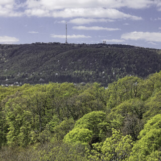 Am-Drosselfels_20200414_0001_HDR_Web