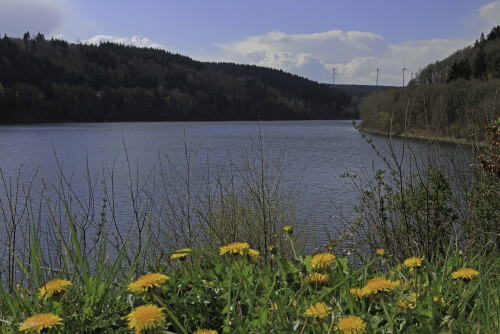 Aufnahmeort:	Eifel	
Kamera:	Canon	EOS 7D
Objektiv:	Canon 	EF 17-40mm
Polfilter		
		
# 00029

© Alle von mir veröffentlichten Bilder unterliegen dem Urheberrecht und dürfen ohne meine schriftliche Genehmigung nicht verwendet werden.