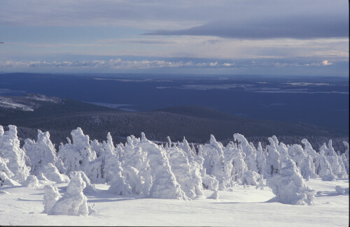 harz-nationalpark-3038.jpeg