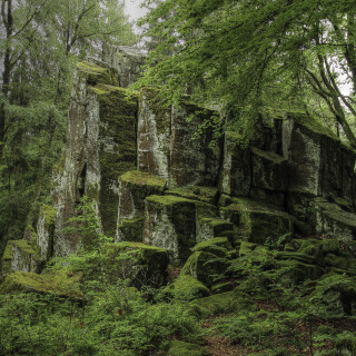 Steinwand_20240522_0001_B_HDR_Web