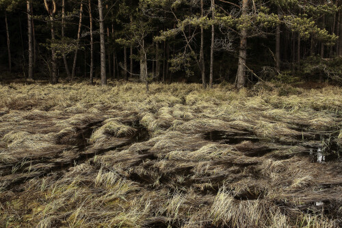 Aufnahmeort:	Wunsiedel im Fichtelgebirge	
Kamera:	Canon	EOS 60D
Objektiv:	Canon 	EF 17-40mm
Polfilter		
		
# 00034

© Alle von mir veröffentlichten Bilder unterliegen dem Urheberrecht und dürfen ohne meine schriftliche Genehmigung nicht verwendet werden.