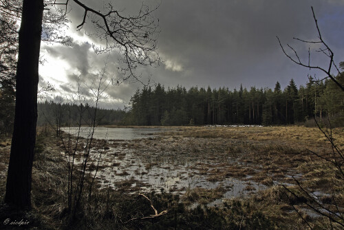 Aufnahmeort:	Wunsiedel im Fichtelgebirge	
Kamera:	Canon	EOS 60D
Objektiv:	Canon 	EF 17-40mm
Polfilter		
		
# 00033

© Alle von mir veröffentlichten Bilder unterliegen dem Urheberrecht und dürfen ohne meine schriftliche Genehmigung nicht verwendet werden.