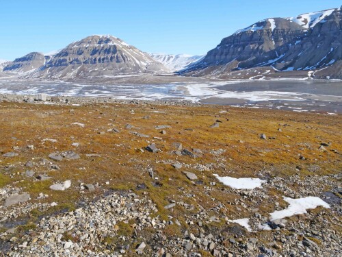 5.5 billefjord spitzbergen