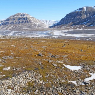 5.5-billefjord-spitzbergen