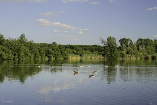 Reinheimer Teich

Aufnahmeort:	Odenwald	
Kamera:	Canon	EOS 7D
Objektiv:	Canon 	EF17-40mm
Stativ, CPL-Filter, GND-Filter		
		
# 00075

© Alle von mir veröffentlichten Bilder unterliegen dem Urheberrecht
und dürfen ohne meine schriftliche Genehmigung nicht verwendet werden.