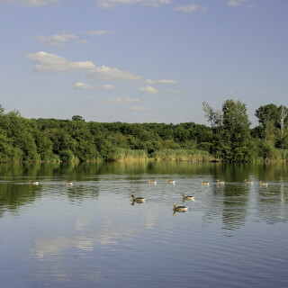 Reinheimer-Teich_20240624_0016_B_HDR-Soft2_Fotofilt_Web