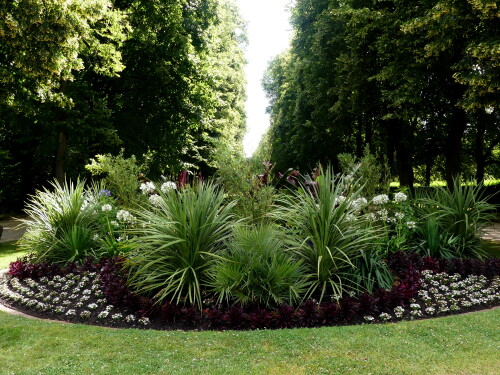 2024-07-05-Ansbach-Hofgarten-Staudenbeet-5.jpeg