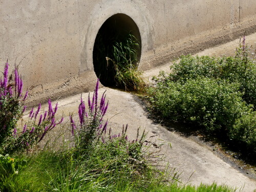 2024-07-05-Tor-zur-Ansbacher-Unterwelt.jpeg