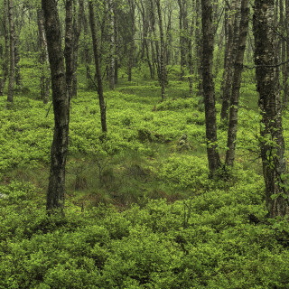 Rotes-Moor_20240522_0002_B_HDR-ausgewog_Web