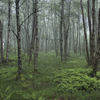 Rotes-Moor_20240522_0010_B_FF_HDR-ausgewog_Web