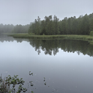 Rotes-Moor_20240522_0031_B_FF_HDR-ausgewog_Web