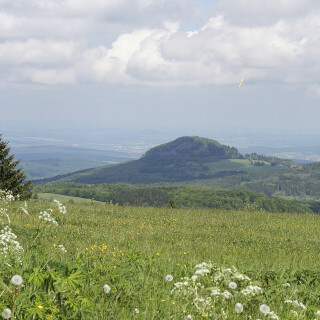 Wasserkuppe_20240523_0035_B_F-natneutr_Web