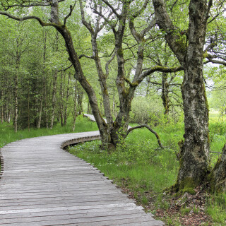 Schwarzes-Moor_20240521_0009_B_HDR-nat_Web