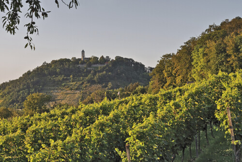 Blick auf die Starkenburg in Heppenheim, View on the castle Starkenburg

Aufnahmeort:	Heppenheim	
Kamera:	Canon	EOS 7D
Objektiv:	Canon 	EF 50mm
CPL Filter, GND Filter		
		
# 00190

© Alle von mir veröffentlichten Bilder unterliegen dem Urheberrecht und dürfen ohne meine schriftliche Genehmigung nicht verwendet werden.