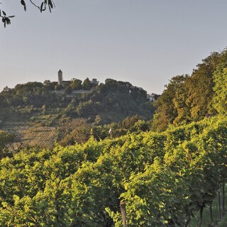 Starkenburg_Heppenheim_20240826_0004_B_HDR-ausgewog_Web