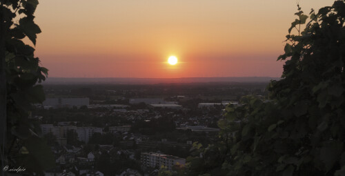 Sonnenuntergang, Sunset
über Heppenheim und Pfälzer Wald

Aufnahmeort:	Heppenheim	
Kamera:	Canon	EOS 7D
Objektiv:	Canon 	EF 50mm
CPL Filter, GND Filter		
		
# 00195

© Alle von mir veröffentlichten Bilder unterliegen dem Urheberrecht und dürfen ohne meine schriftliche Genehmigung nicht verwendet werden.