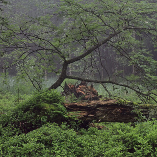 Rotes-Moor_20240522_0016_B2_HDR-ausgewogen_Web