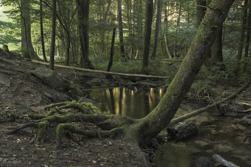 Duerr-Ellenbach-Tal_20240920_0003-HDR1-2-3_HDR-Canon_Web.jpeg