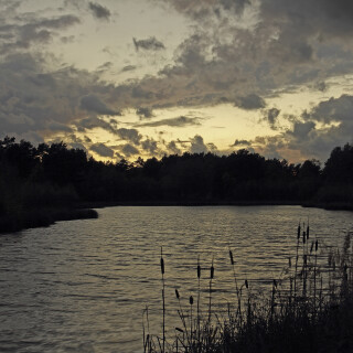 Heidesee_20131028_0001_B_Web