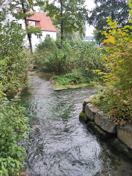 Kaum zu glauben, dass dieses Bild mitten in der Stadt entstand