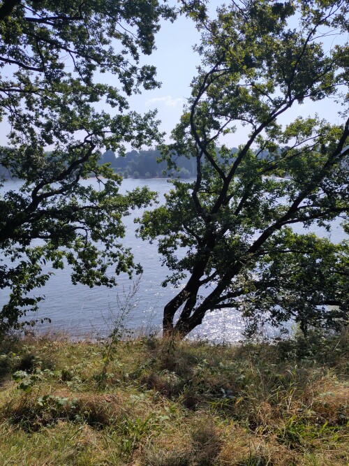 Der Stammheimer Schlosspark bietet für mich in Köln die schönste Aussicht auf den Rhein