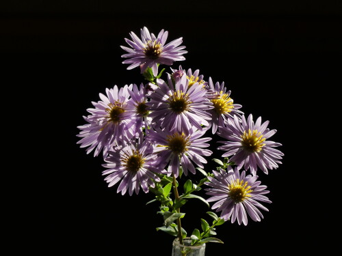 2024-10-15-der-Herbst-in-der-Blumenvase-1.jpeg