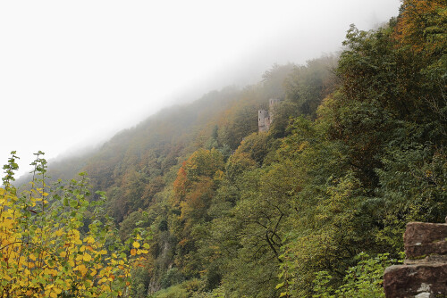 Neckarsteinach_Vierburgeneck_20241020_0001_B_HDR-C_Web.jpeg