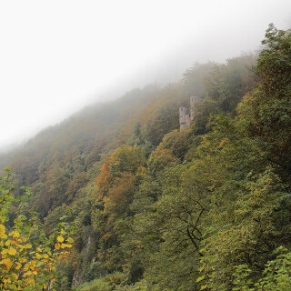 Neckarsteinach_Vierburgeneck_20241020_0001_B_HDR-C_Web