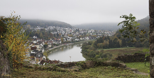 Blick auf Neckarsteinach, View of Neckarsteinach

Aufnahmeort:	Neckartal	
Kamera:	Canon	EOS 7D
Objektiv:	Canon 	EF 17-40mm
Stativ, CPL Filter, GND Filter		
		
# 00238

© Alle von mir veröffentlichten Bilder unterliegen dem Urheberrecht und dürfen ohne meine schriftliche Genehmigung nicht verwendet werden.