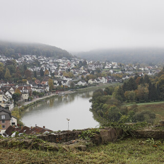 Neckarsteinach_20241020_0001_B1_HDR-C_Web