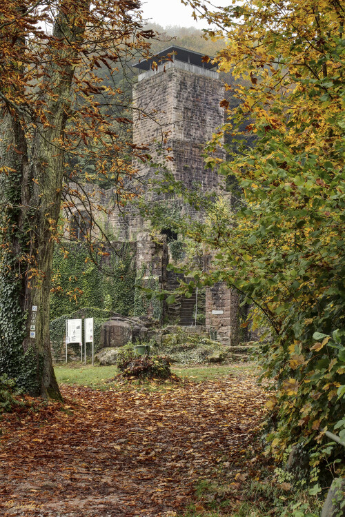 Burgruine Hinterburg, Castle ruin Hinterburg

Aufnahmeort:	Neckarsteinach, Vierburgeneck	
Kamera:	Canon	EOS 7D
Objektiv:	Canon 	EF 17-40mm
Stativ, CPL Filter		
		
# 00240

© Alle von mir veröffentlichten Bilder unterliegen dem Urheberrecht und dürfen ohne meine schriftliche Genehmigung nicht verwendet werden.