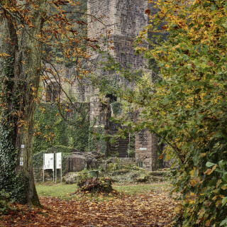 Burgruine-Hinterburg_20241020_0010_B_HDR_F_Web