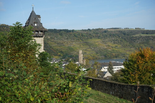 An der mittelalterlichen Stadtmauer von Oberwesel hat sich eine reichhaltige Vegetation angesiedelt