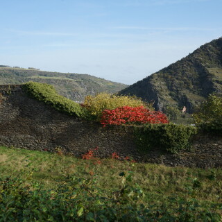 Leben-in-alten-Gemauern