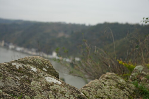 Auf den Felsen siedelt eine artenreiche Flechtenvegetation