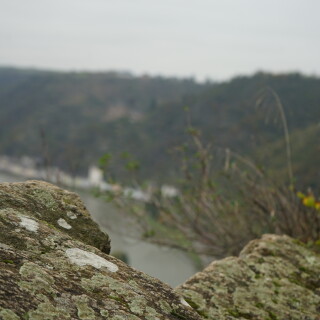 Loreley-2