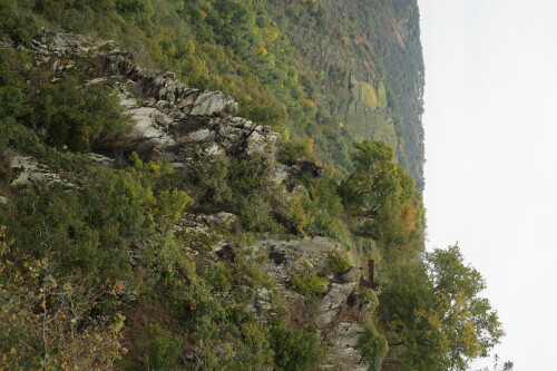 Die Felsen an der Loreley haben eine reichhaltige Vegetation.