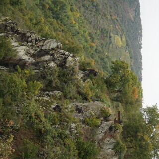 Loreley-5