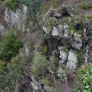 Loreley3