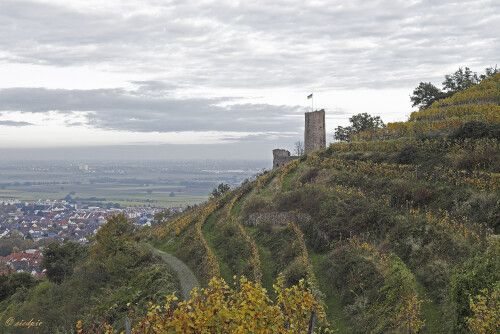 Strahlenburg in Schriesheim, Castle Strahlenburg

Aufnahmeort:	Schriesheim	
Kamera:	Canon	EOS 6D
Objektiv:	Canon EF 50mm
Stativ, CPL Filter

© Alle von mir veröffentlichten Bilder unterliegen dem Urheberrecht und dürfen ohne meine schriftliche Genehmigung nicht verwendet werden.