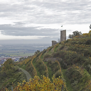 Strahlenburg_20241025_0001_B_HDR-C_Web