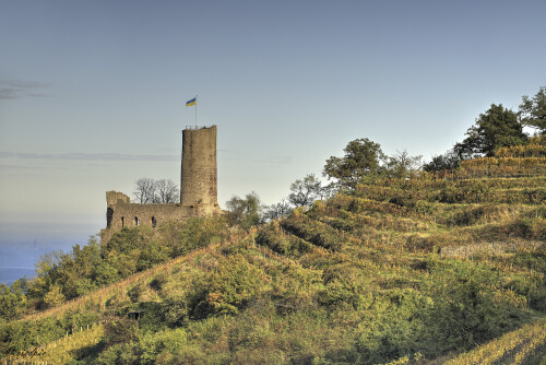 Strahlenburg in Schriesheim, Castle Strahlenburg

Aufnahmeort:	Schriesheim	
Kamera:	Canon	EOS 6D
Objektiv:	Sigma Makro	150mm
Stativ, CPL Filter		
		
# 00244

© Alle von mir veröffentlichten Bilder unterliegen dem Urheberrecht und dürfen ohne meine schriftliche Genehmigung nicht verwendet werden.