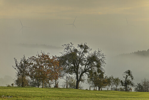 Guettersbach_20241029_0001_B_HDR_Web.jpeg