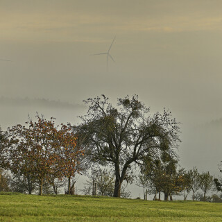 Guettersbach_20241029_0001_B_HDR_Web