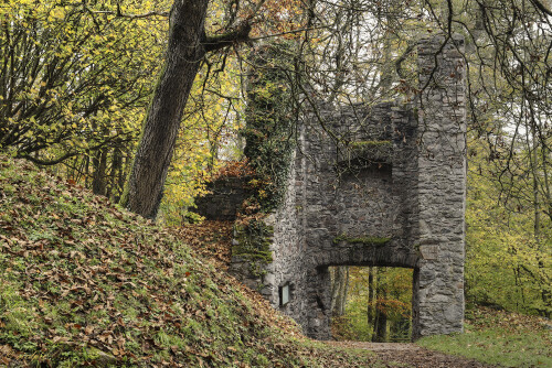 Burgruine-Rodenstein_20241106_0057_B_HDR_Web.jpeg