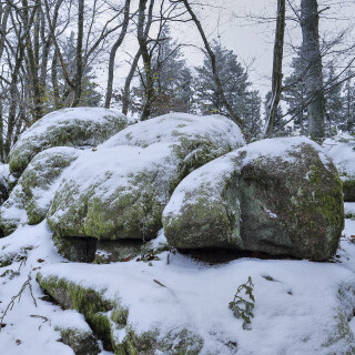 Naturdenkmal-Lindenstein_20241121_0005_B_HDR_F_Web