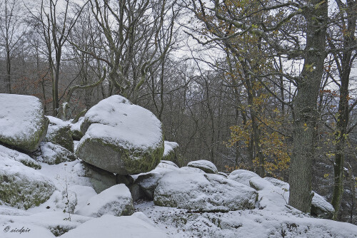 Naturdenkmal-Lindenstein_20241121_0010_B_HDR_Web.jpeg