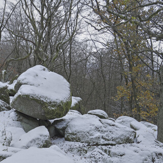 Naturdenkmal-Lindenstein_20241121_0010_B_HDR_Web