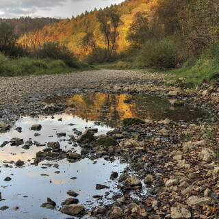 Naturpark-Obere-Donau_20161022_0031_HDR_Web