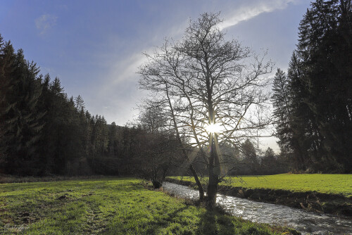 Ulfenbachtal_20241208_0001_B_HDR-soft_Web.jpeg